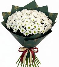 Букет цветов из:  Хризантемы #REPLACE_PRED# Челюскинский