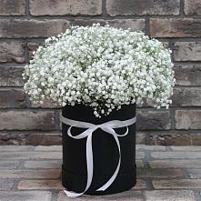 Цветочная композиция из Гипсофила в шляпной коробке в Челюскинский