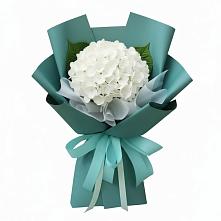 Букет цветов из:  Гортензия #REPLACE_PRED# Челюскинский